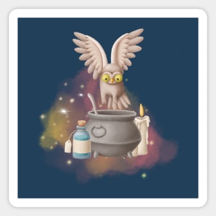 Magical potion with an owl Magnet